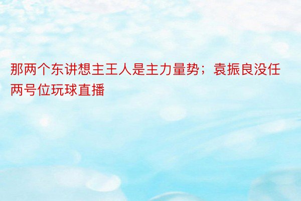 那两个东讲想主王人是主力量势；袁振良没任两号位玩球直播