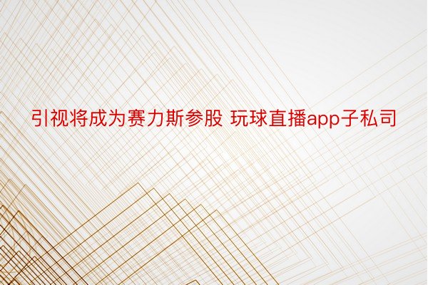 引视将成为赛力斯参股 玩球直播app子私司